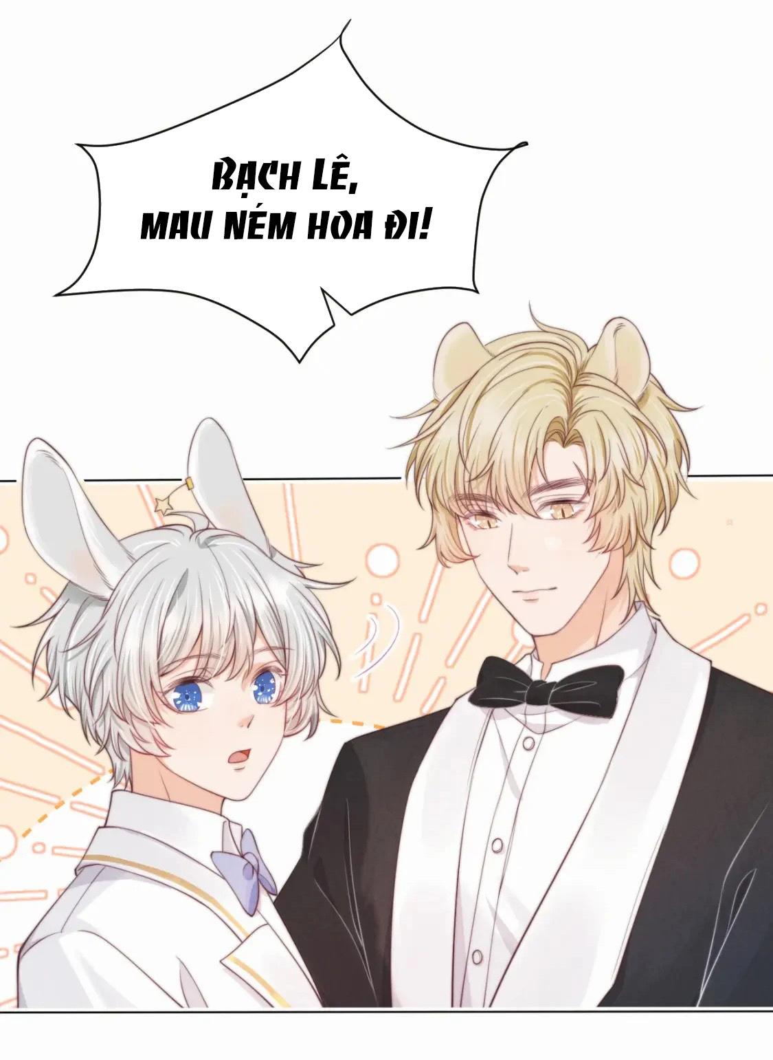 [ss2] một ngụm ăn cả thỏ con chapter 35 31