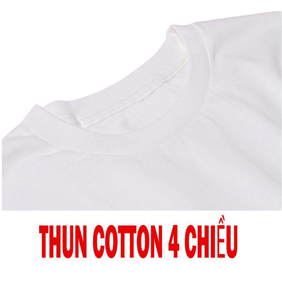 Áo thun nam in hình hoa văn chất 300na