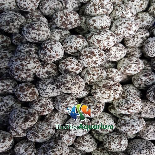 Sứ lọc dạng viên cho bể kính, hồ cá ngoài trời