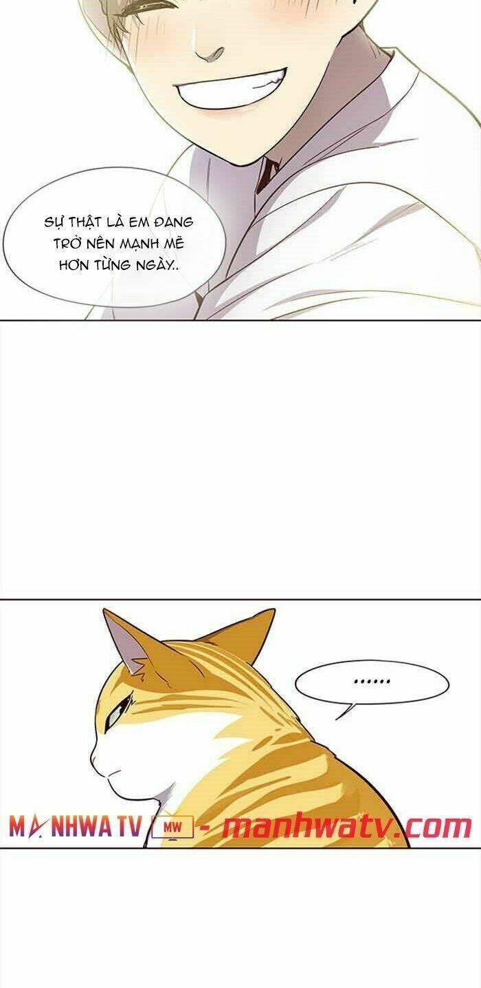 biến thân thành mèo chapter 23 42