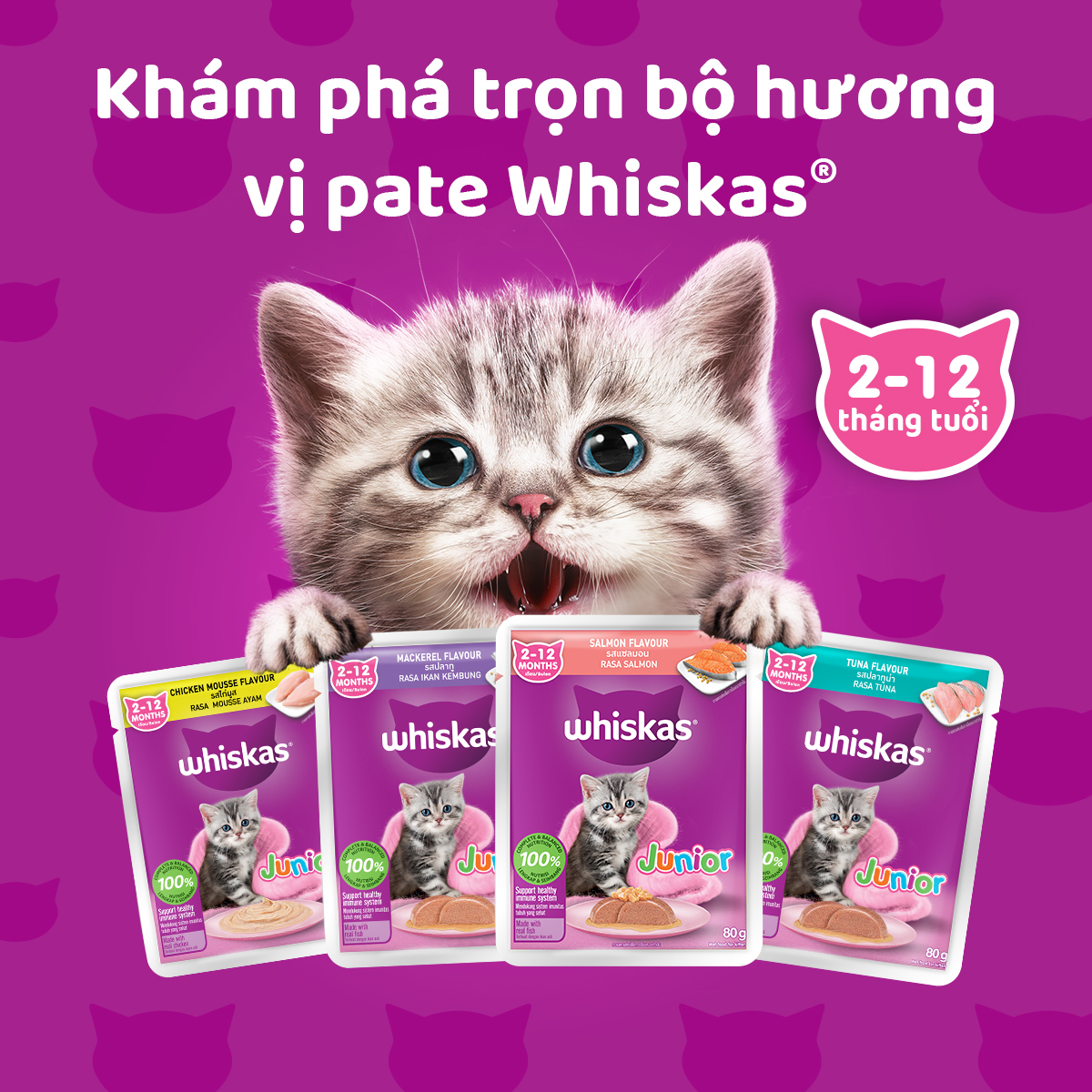 Thức ăn cho mèo con WHISKAS Junior dạng sốt – túi 80g, 24 gói