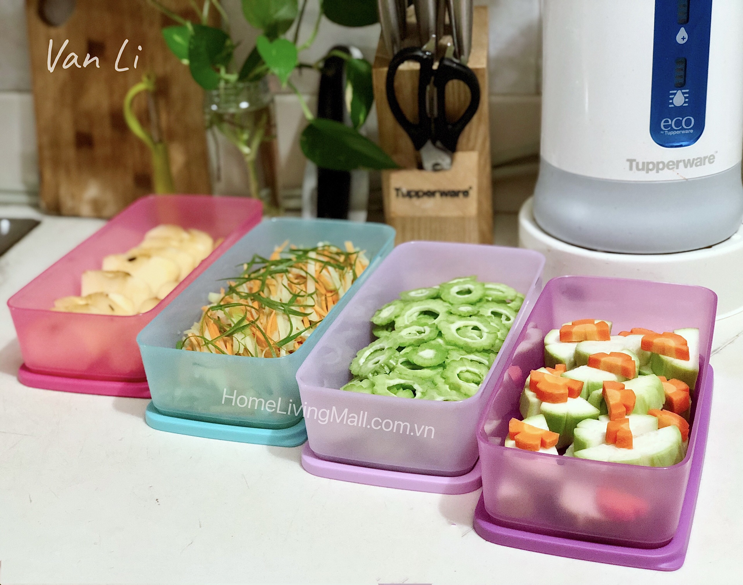 Bộ Trữ Khô &amp; Mát Tupperware Pak N Stor 1.4L Set 4