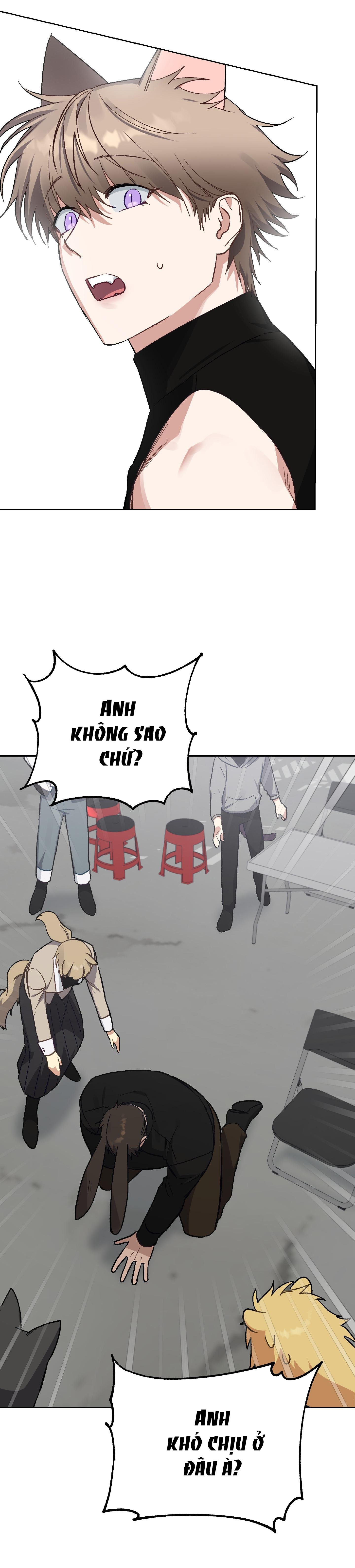 thỏ xuất tinh trong 3 giây chapter 10 4