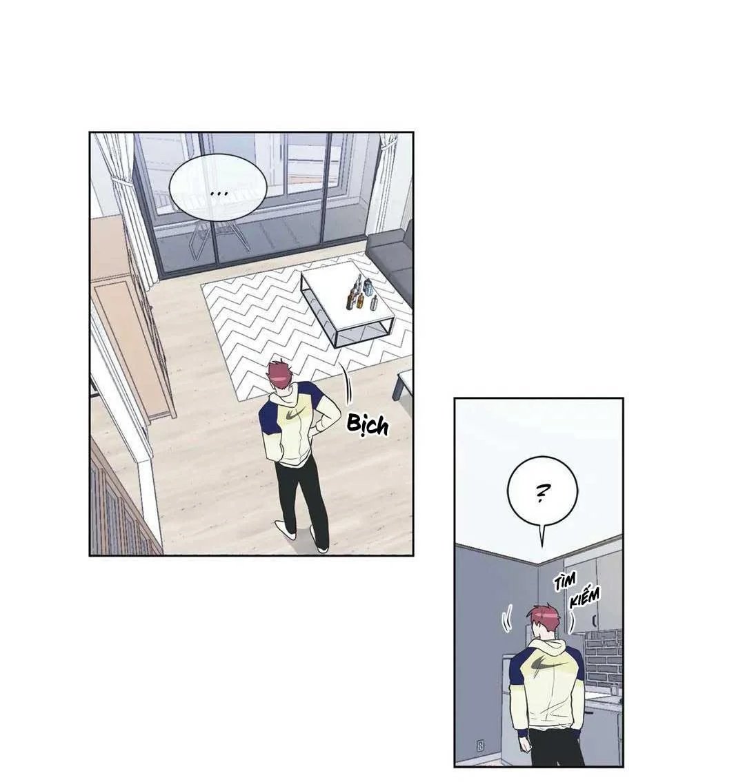 anti p.t chapter 33 40