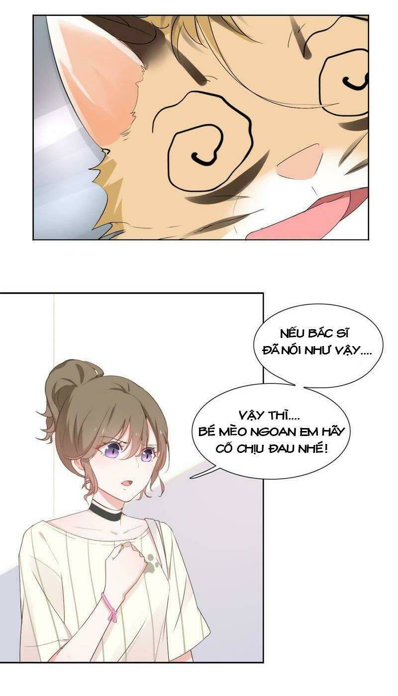 thập nhị hắc miêu chapter 1 37