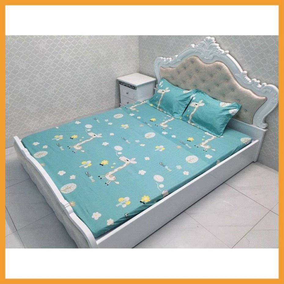 Bộ Chăn Hè Ga Gối Trải Giường Bọc Đệm Mèo Bụng To