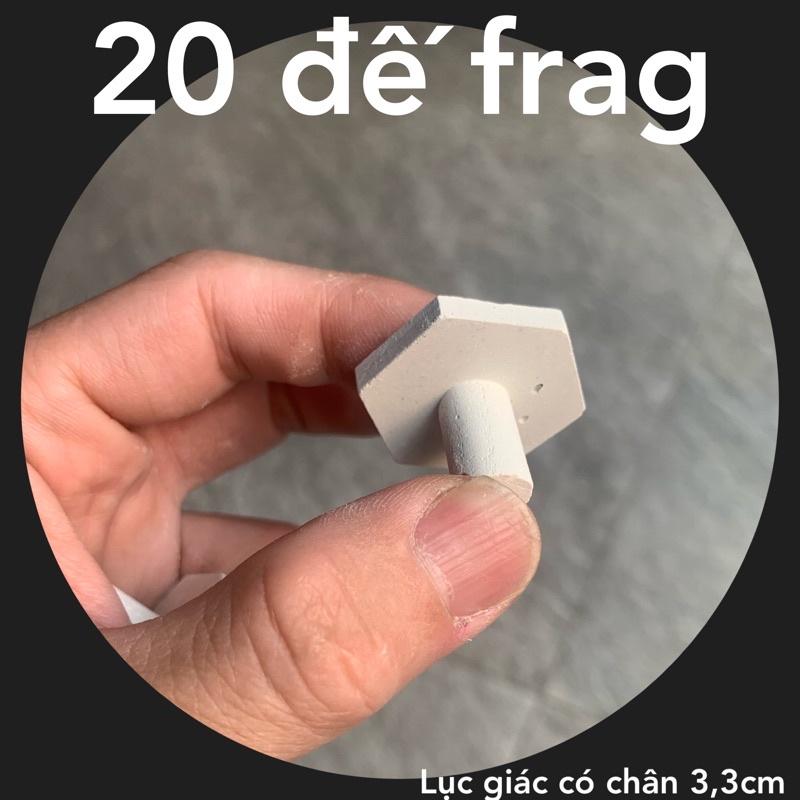 Đế frag san hô lục giác