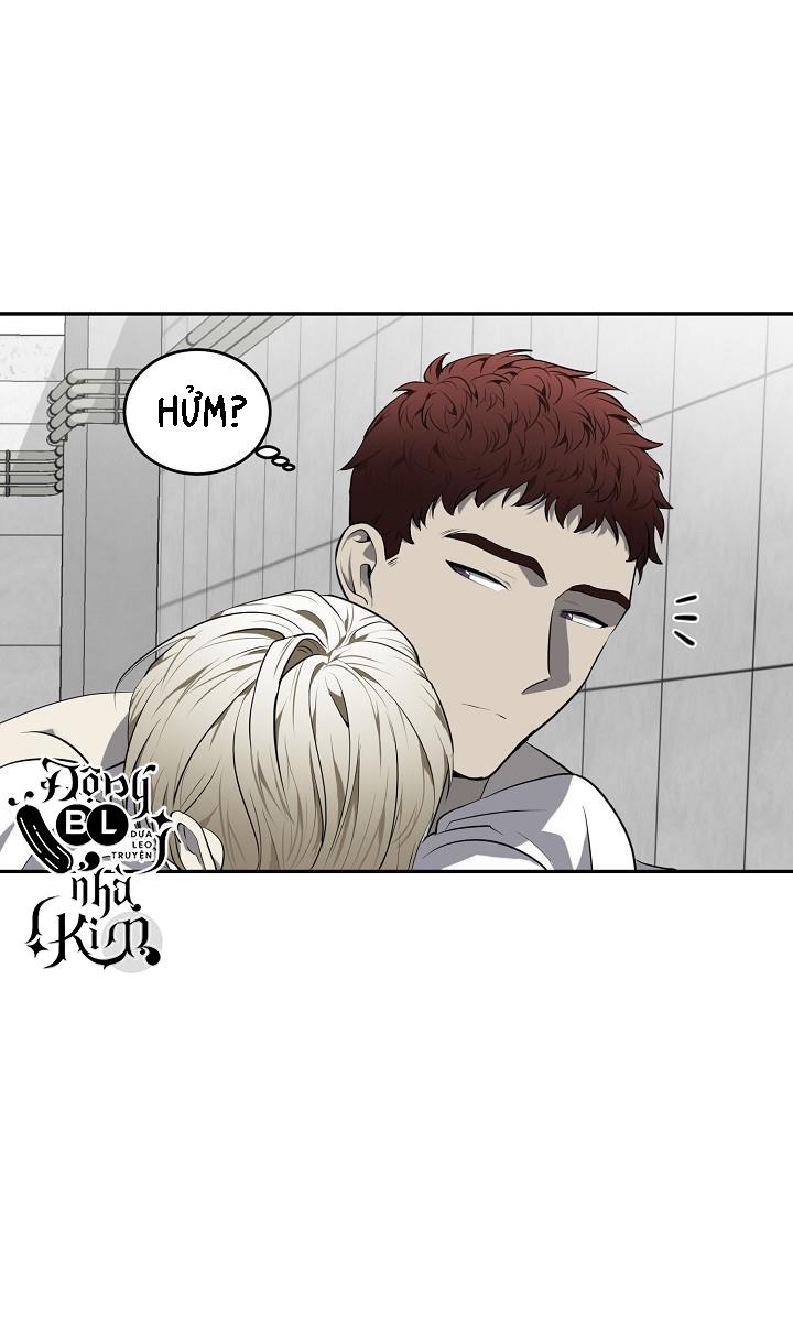 dưỡng thú cưng chapter 28 43