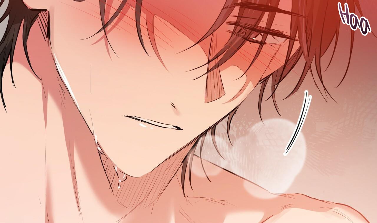 đàn thỏ của habibi chapter 25 152