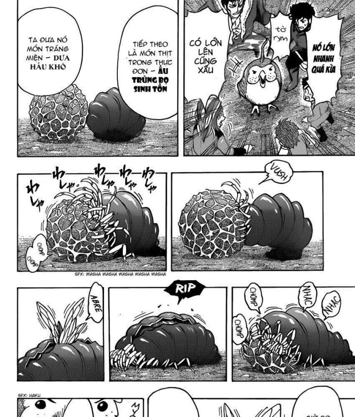 thánh tỏi sành ăn chapter 267 35