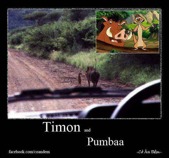 rage comic-troll chapter 71 7