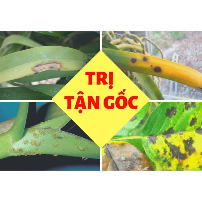 CHẾ PHẨM VI SINH P-GRO
