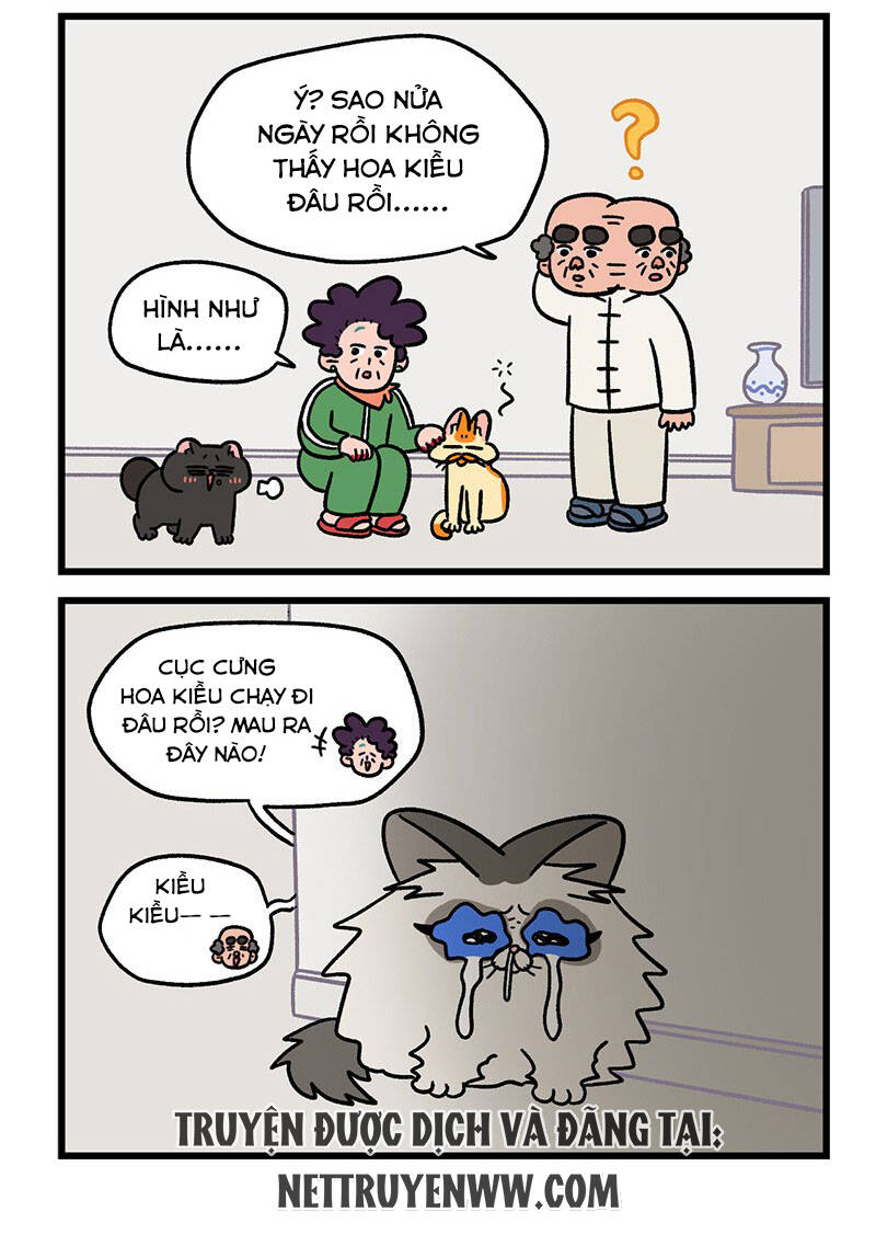 a mãn và mạch trà chapter 46 6