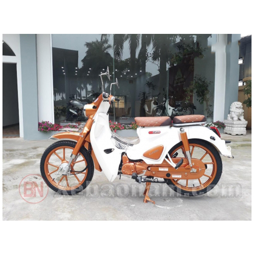 Xe Máy 50cc Cub Ally Classic Bản Độ 2021