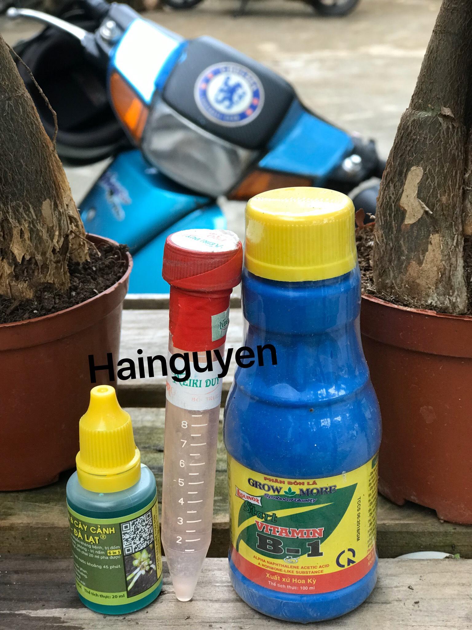 Combo 3 sản phẩm chăm sóc - kích ki cho hoa lan