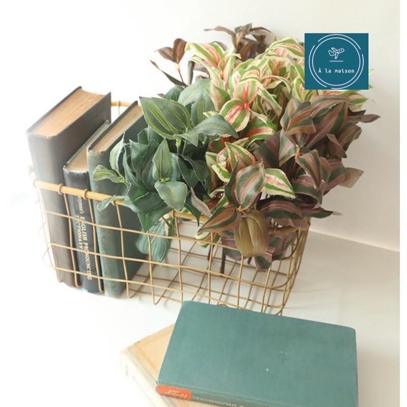 Cụm lá Peperomia cao 36cm bằng lụa dùng decor trang trí không gian sinh động tươi tắn, hoa event