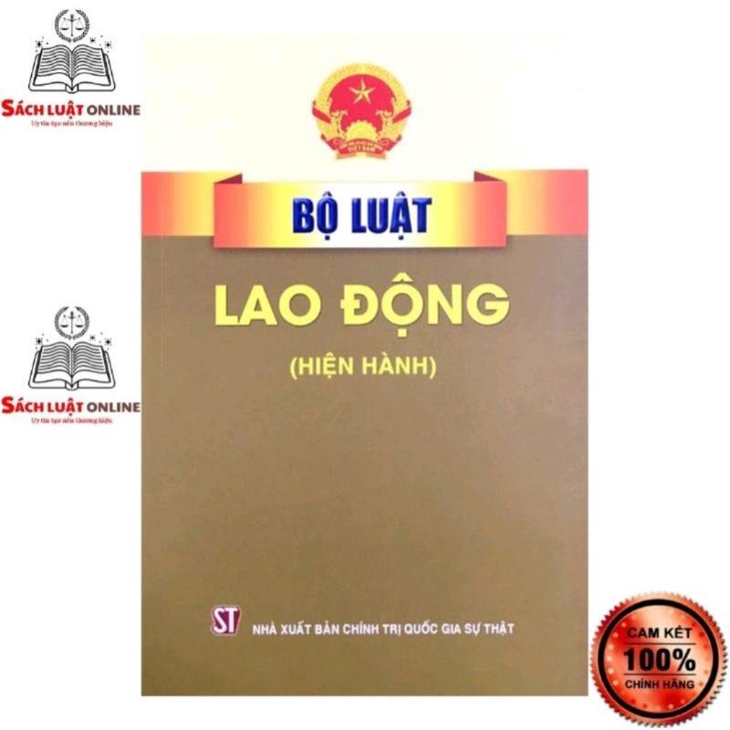 Sách - Combo 2 cuốn Bộ luật Lao động (hiện hành) + Hỏi - đáp Bộ luật Lao động năm 2019