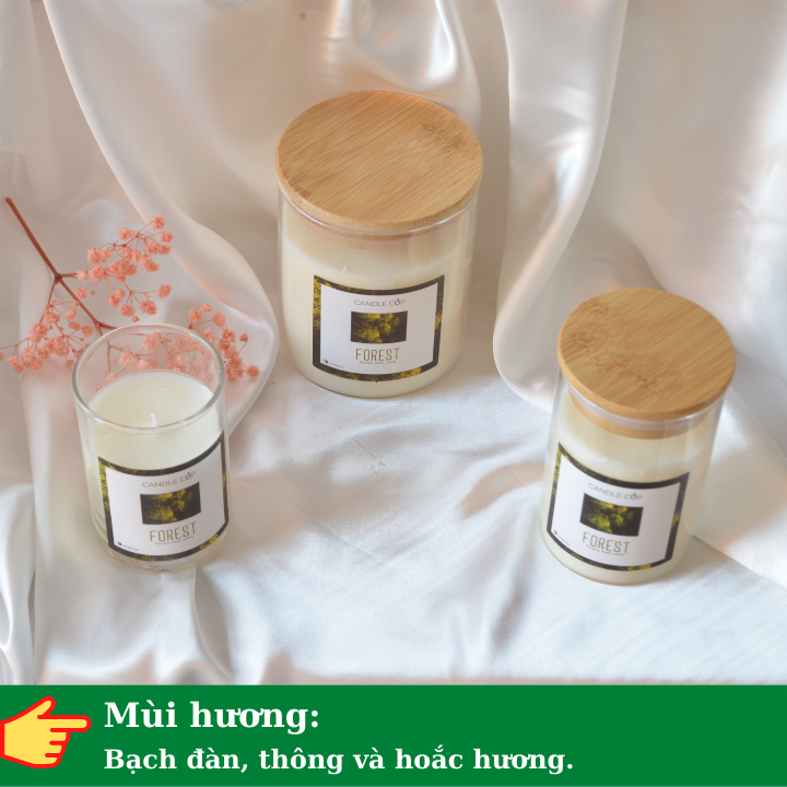 Nến Thơm tự nhiên AGAYA Candle Cup hương bạch đàn, thông và hoắc hương - Mùi FOREST