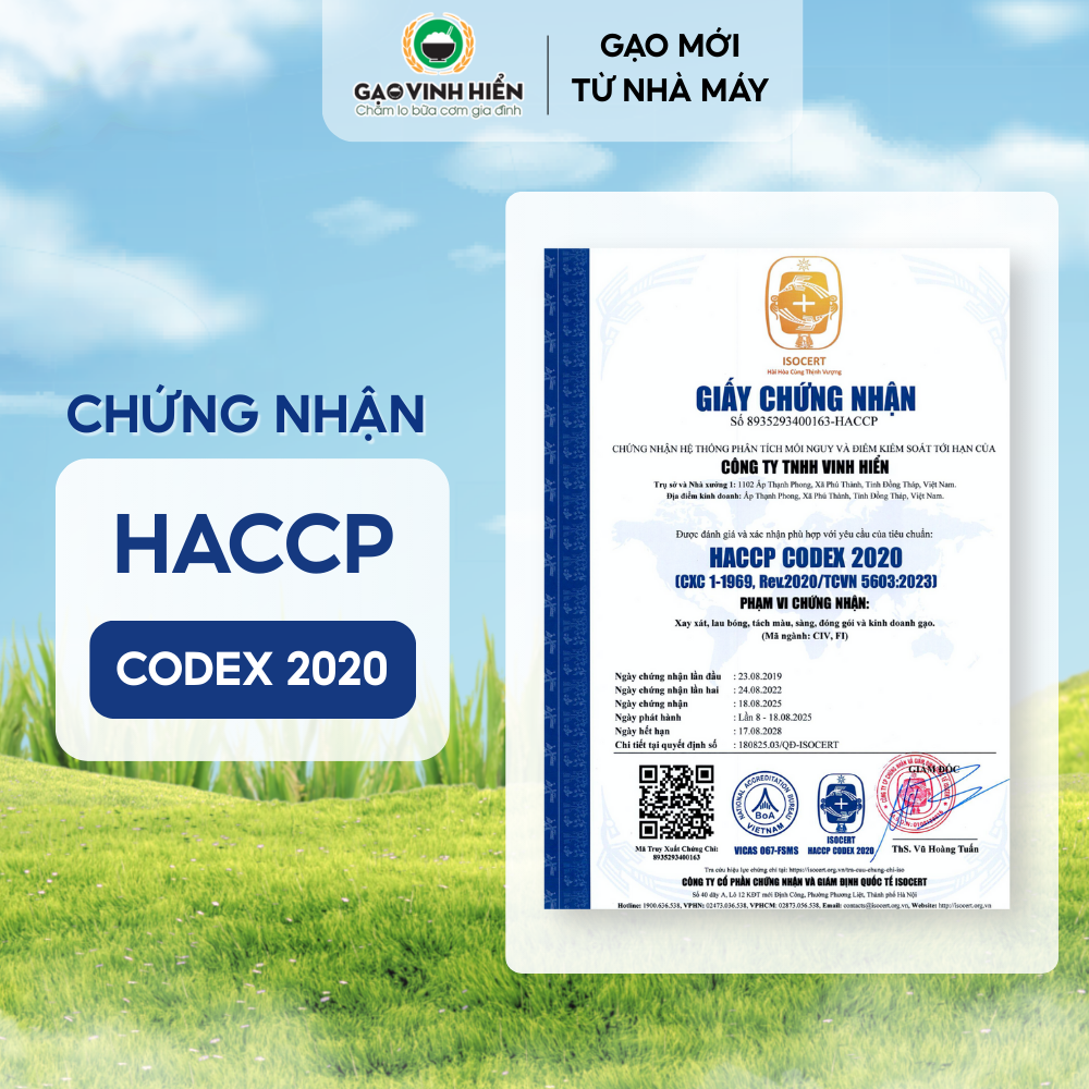 Combo 4 túi Nếp Cái Hoa Vàng Vinh Hiển - Tiết kiệm, siêu dẻo, thơm nhiều