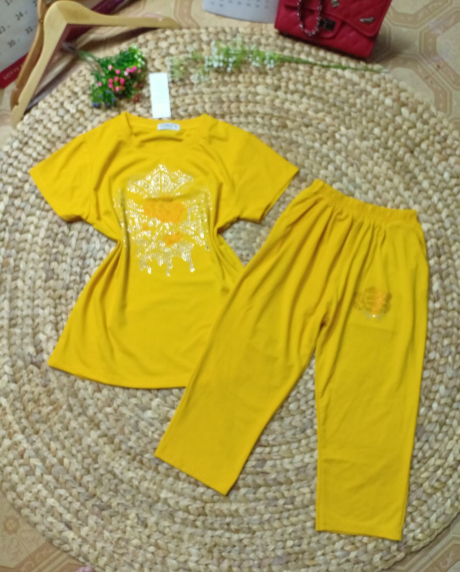 Đồ Bộ Mặc Nhà Nữ Quần Lửng Bigsize Thun Cotton Thể Thao Đẹp Dễ Thương Cute, Mặc Ngủ Đi Chơi DBN31