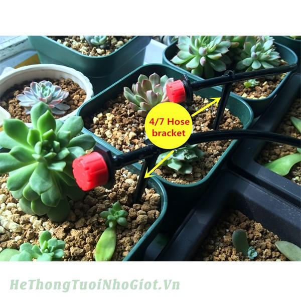 100 đầu nhỏ giọt 8 tia tưới gốc cây 206852