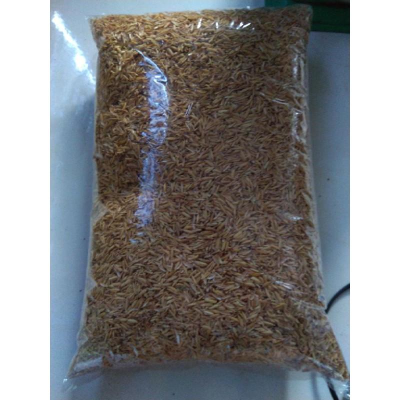 500g Vỏ trấu sạch hạt to