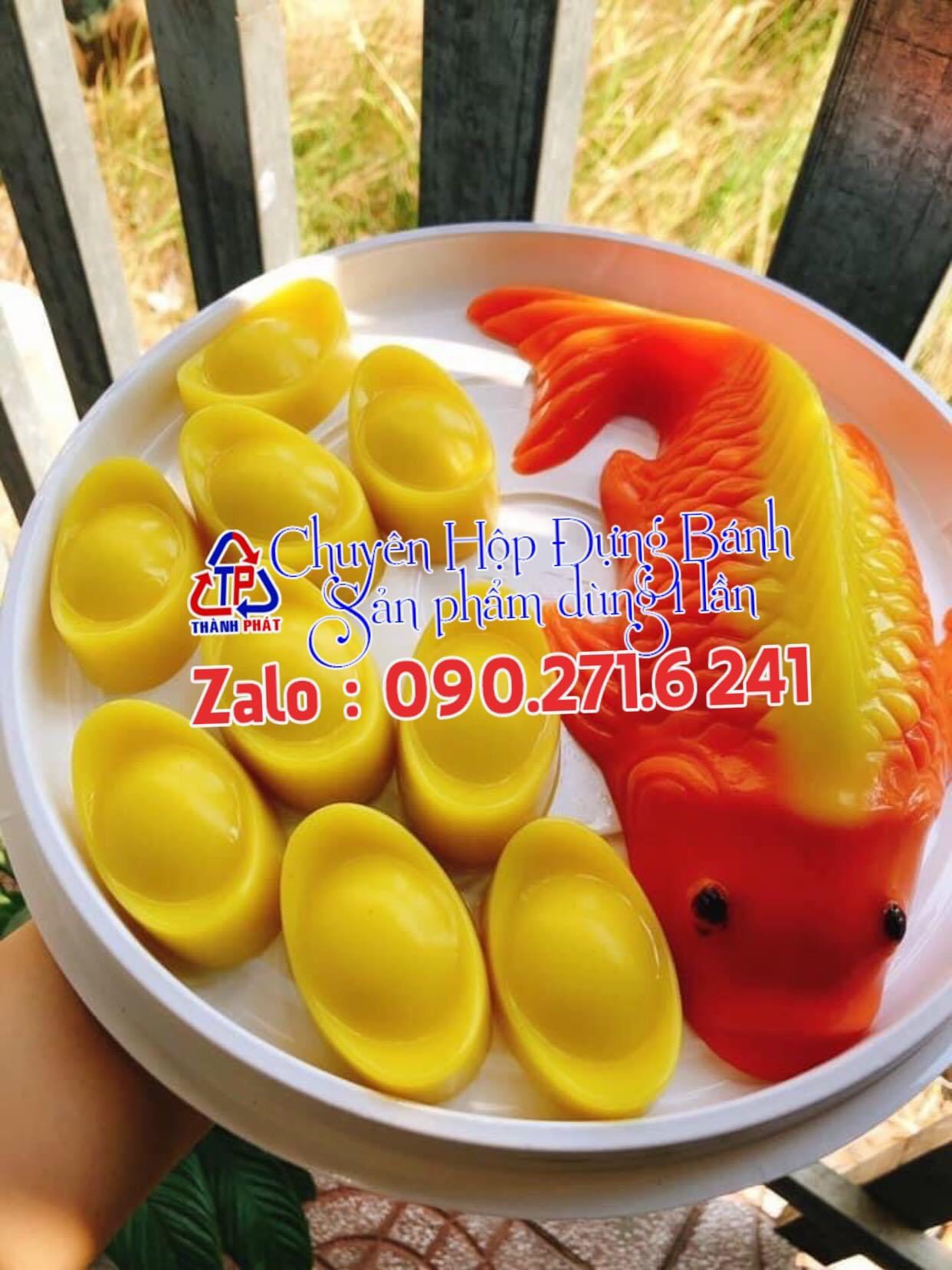 20 Hộp H122 cao 9cm đựng rau câu cá chép– Hộp size bánh 24cm – Hộp đựng rau câu 3D size 24cm