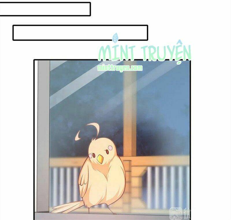 nam thần truy thê chỉ nam chapter 107.2 14