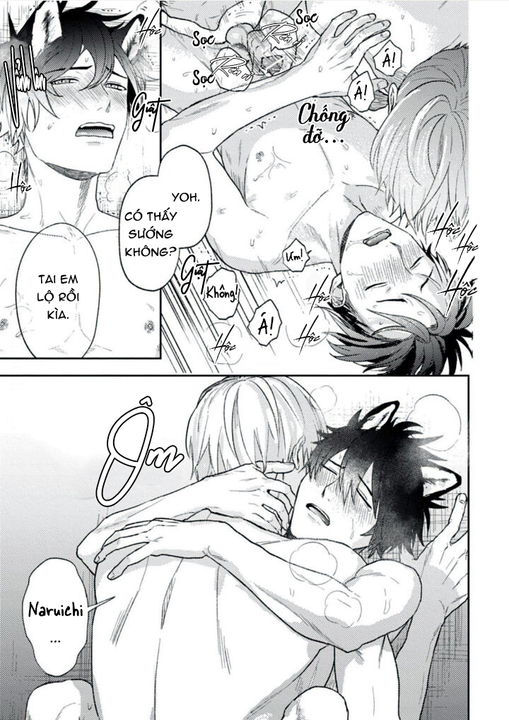 mật ngọt dã thú chapter 4 10