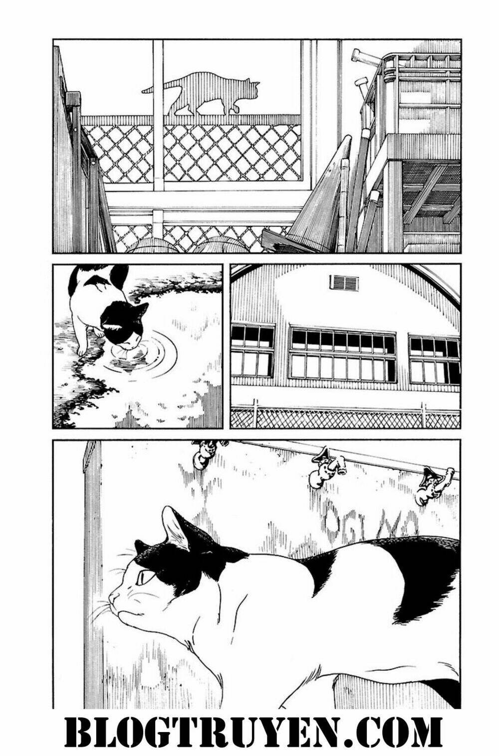 fujiyamasan wa shishunki chapter 68 3