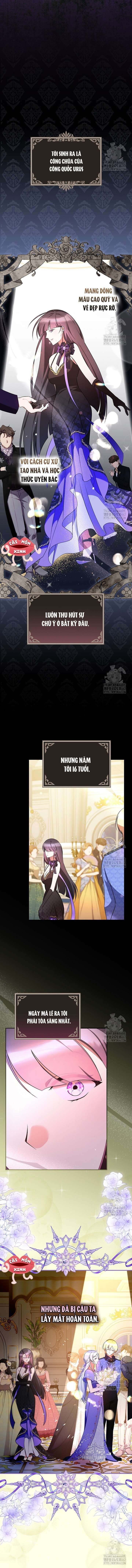 đi tìm nàng công chúa bỏ trốn chapter 30 8