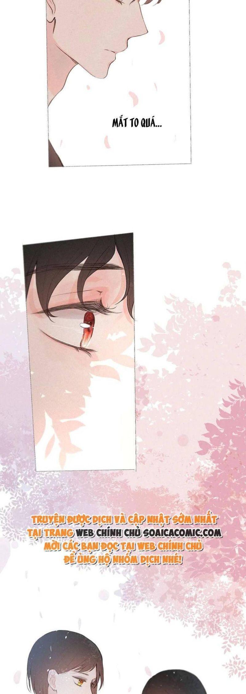 nỗi buồn của hoa cẩm tú cầu chapter 16.5 8