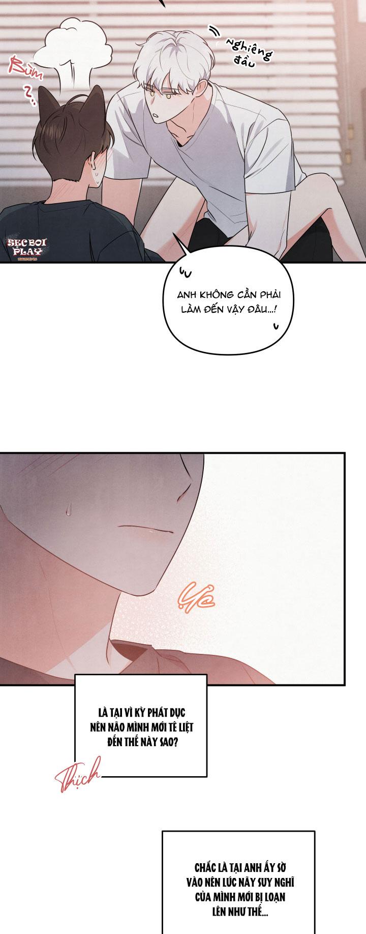 mối quan hệ của thú nhân chapter 5 23