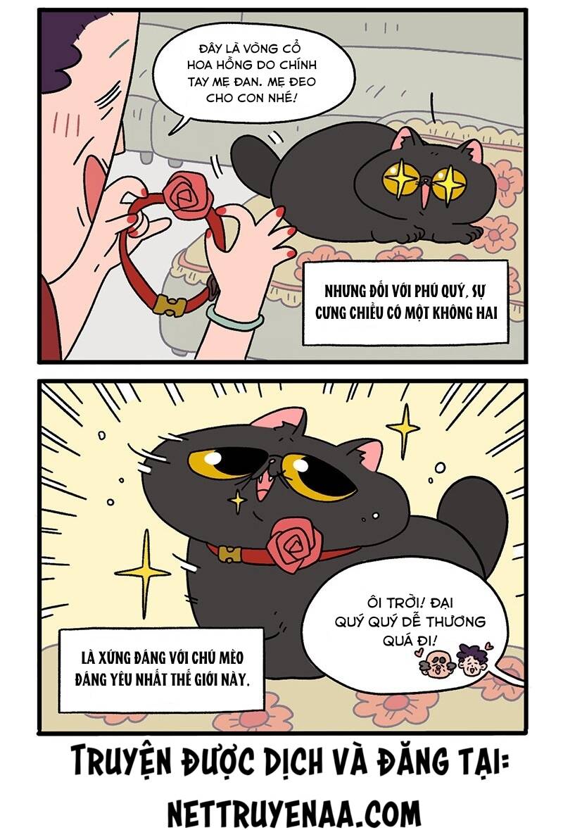 a mãn và mạch trà chapter 15 4