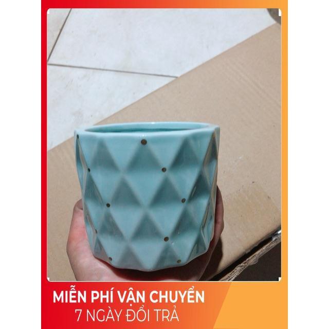Chậu Trồng Cây