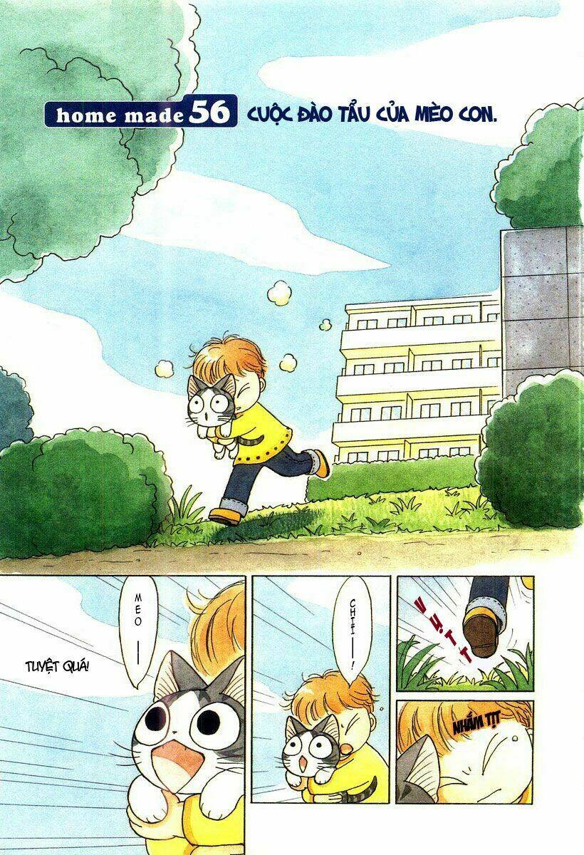 chi's sweet home chapter 56 2