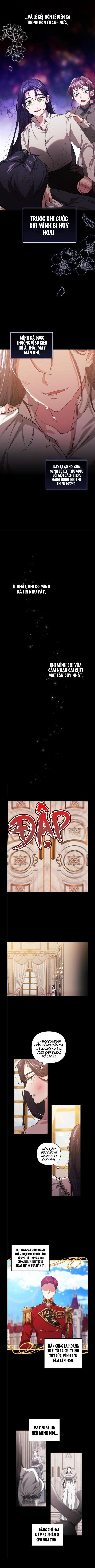 tôi mới là người quyết định cuộc hôn nhân này chapter 10 7