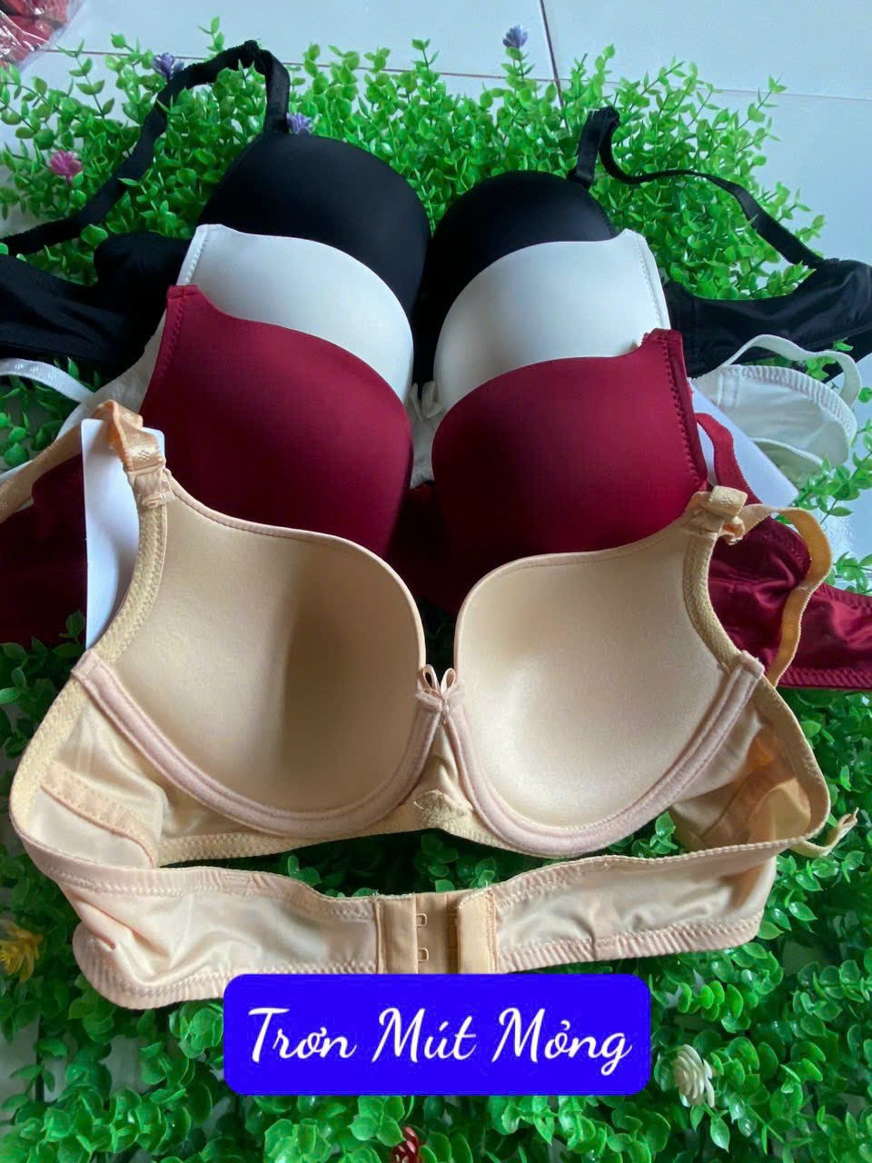 Áo Ngực Nữ Trơn Mút Mỏng Size A 80 = Size 36 Hàng Việt Nam Gia Công