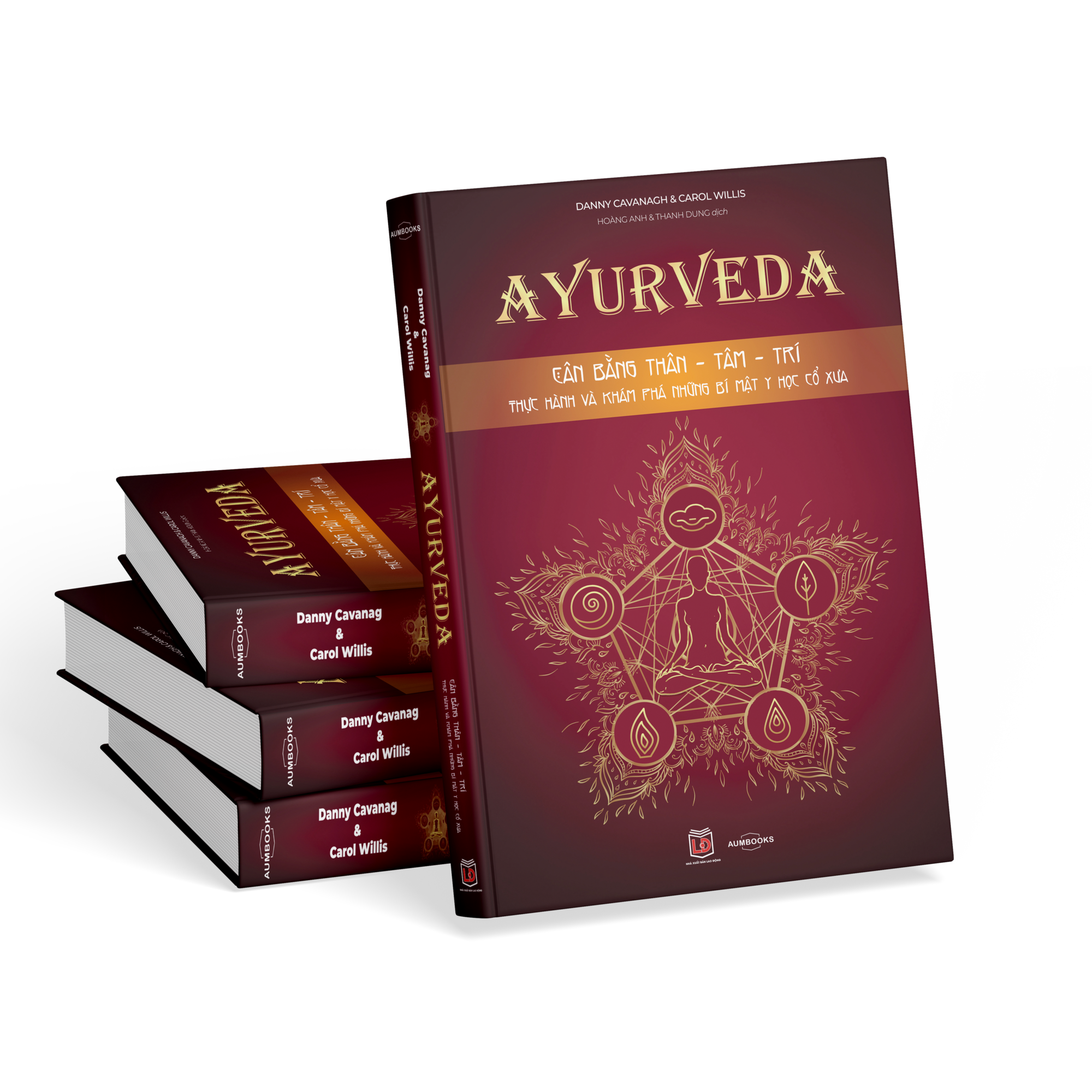 Sách: Ayurveda – Phương pháp y thuật cổ truyền Ấn Độ 