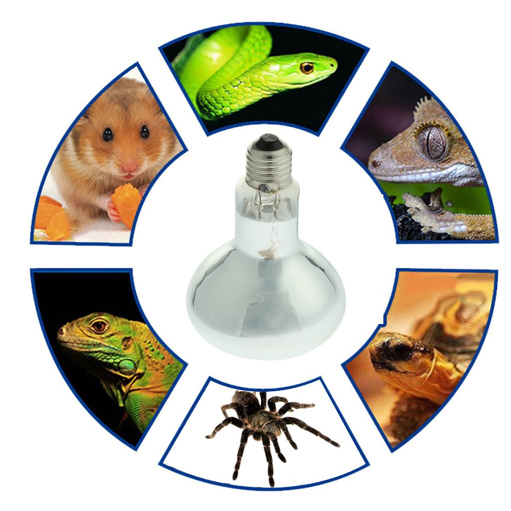 2pcs 80W/100W UVA UVB Reptile Heating Tortoise Lamp Full Lamp Basking Pet
