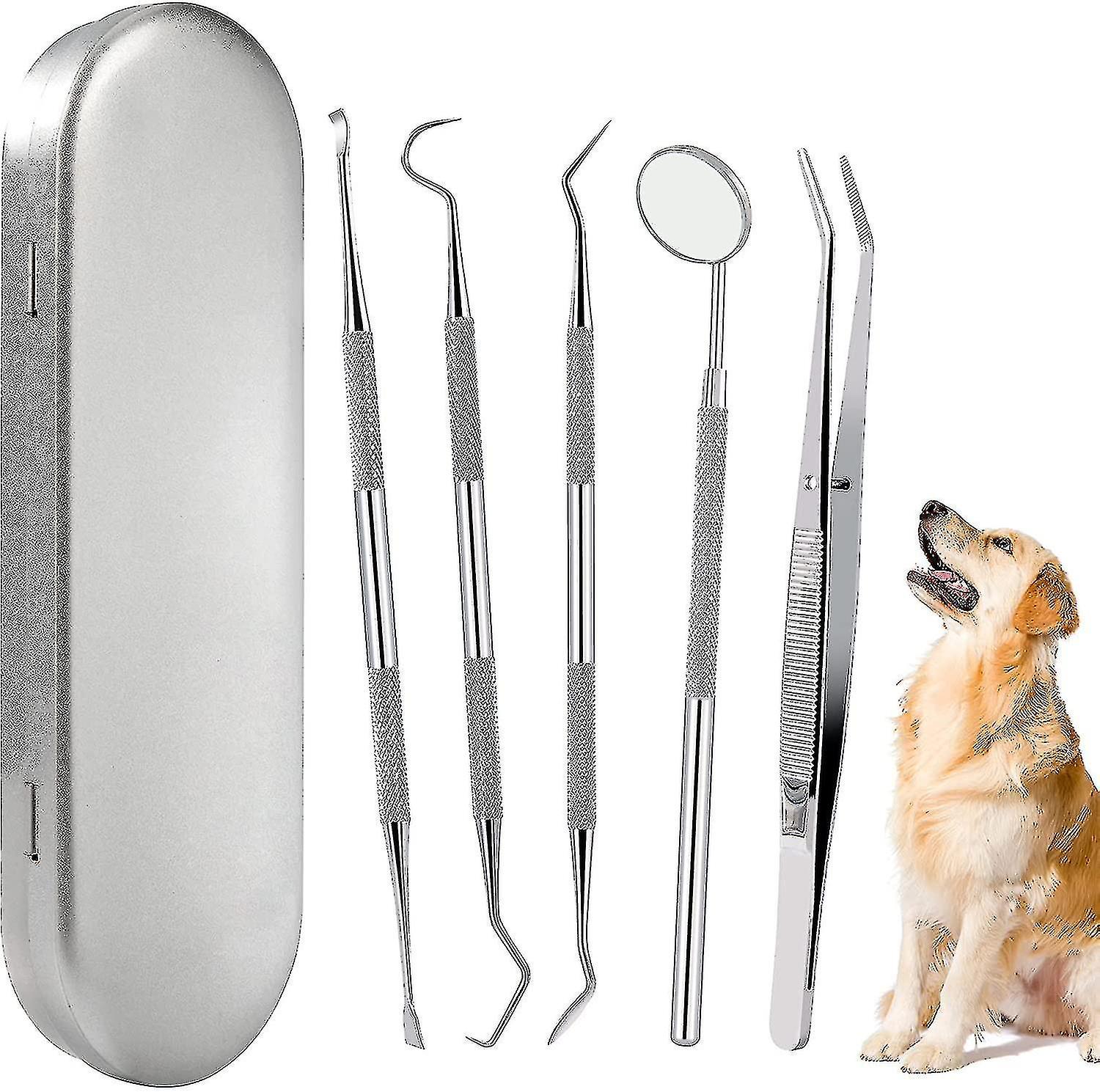 Bộ làm sạch răng cho chó, bộ chăm sóc răng bằng thép không gỉ, dụng cụ làm sạch răng thú cưng