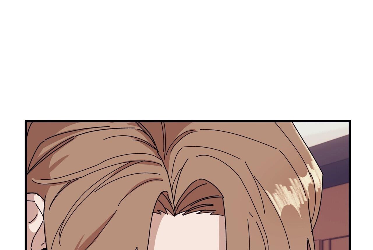 chàng dâu nhà họ kang chapter 43 2