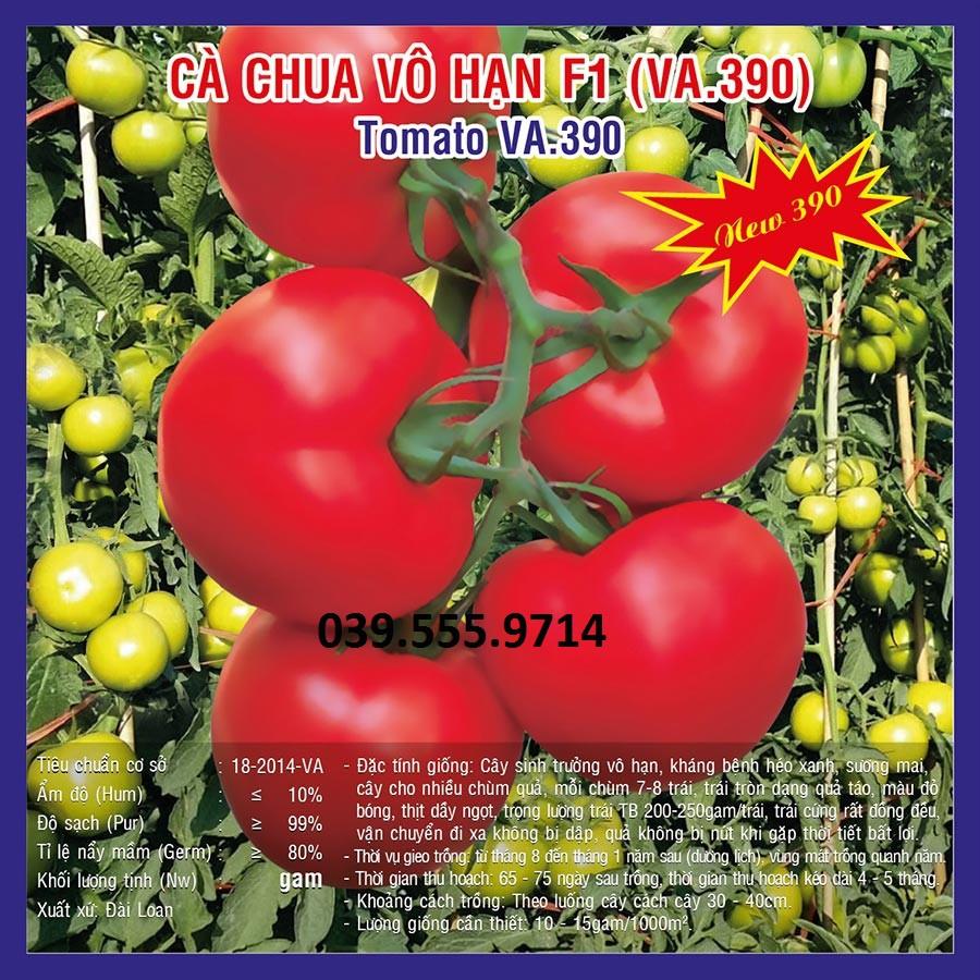 Hạt giống Cà Chua Vô Hạn  – 2.000 hạt