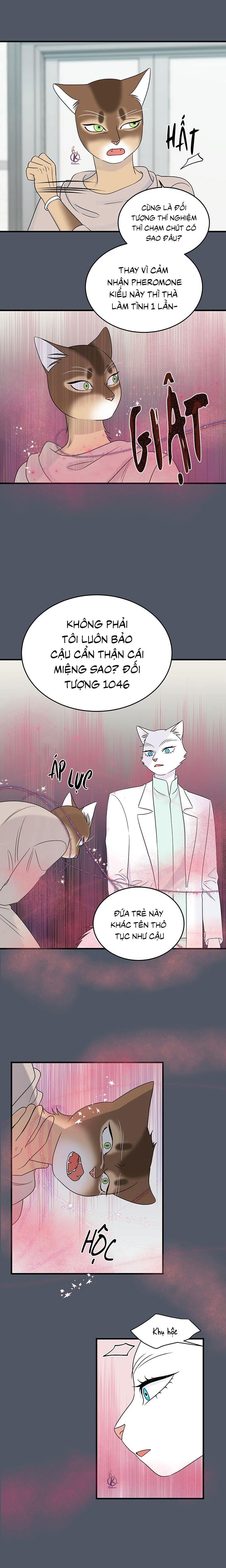 dự án xanh chapter 45 13