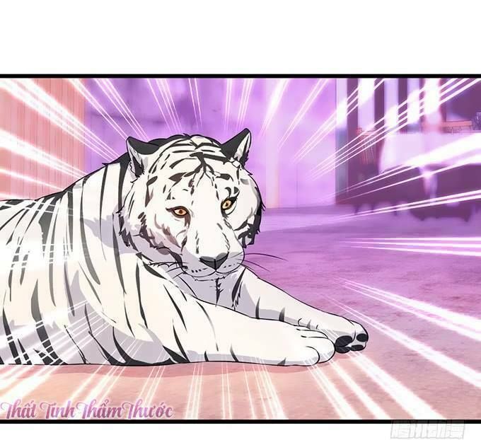 Hắc Đạo Này Có Chút Manh chapter 13 8