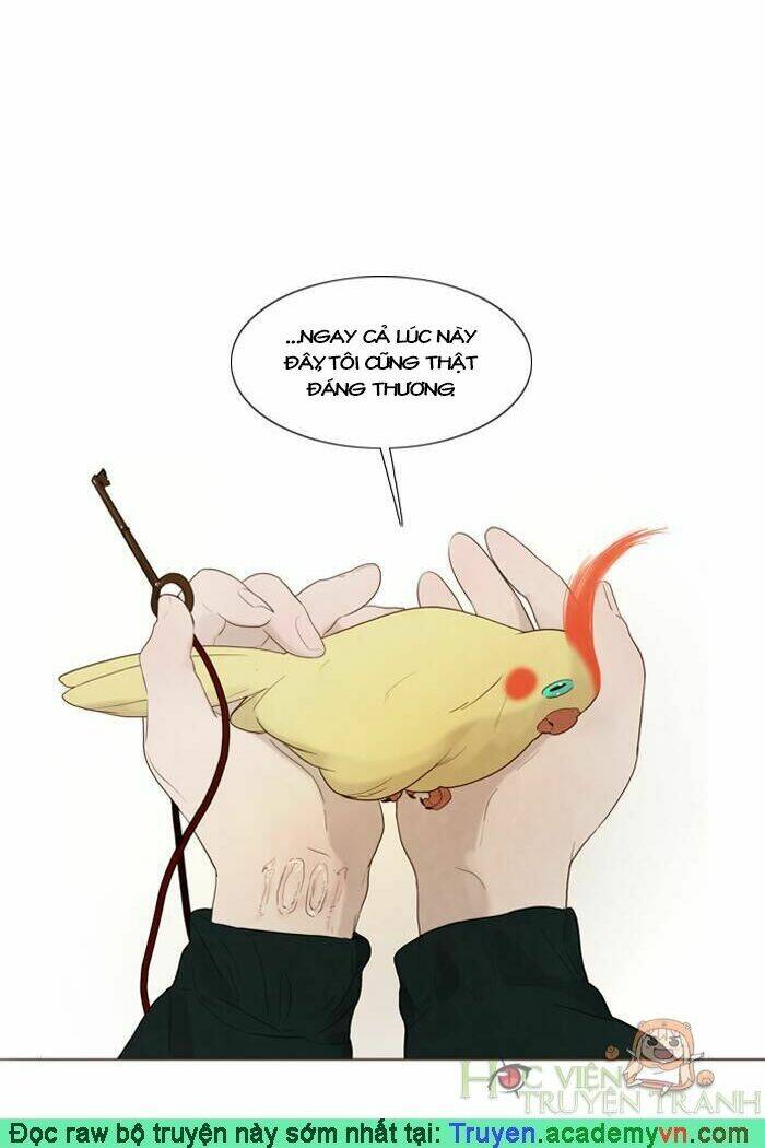 rừng đông ss2 chapter 19 18