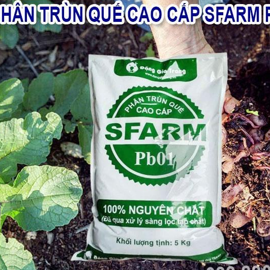 PHÂN TRÙN QUẾ SFARM PB01 BAO 5KG Chuyên bón cho rau sạch, kiểng lá và hoa hồng