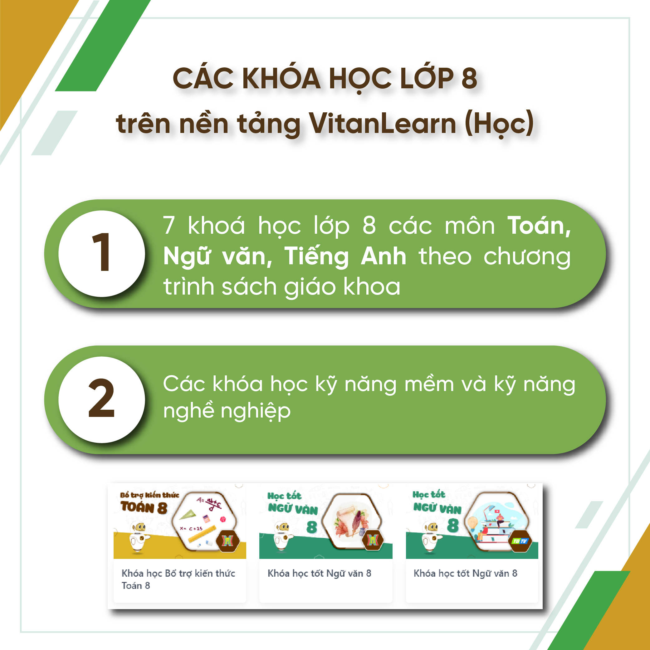 Bộ công cụ Học - Thi - Hướng nghiệp lớp 8, VitanEdu