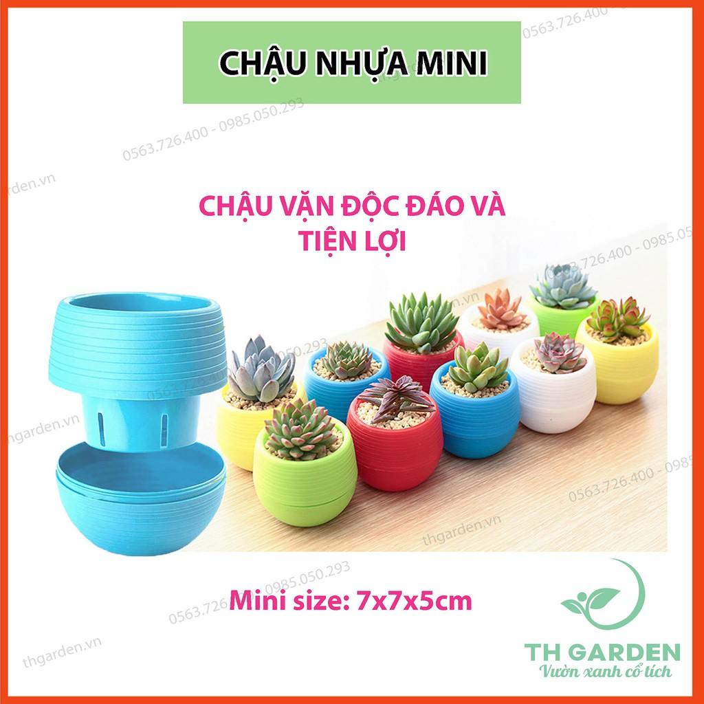 Chậu Trồng Cây Mini 7x7cm Có Đáy Trữ Nước - Chậu Hoa Đa dạng màu sắc - Trang trí nhà cửa, văn phòng tuyệt đẹp
