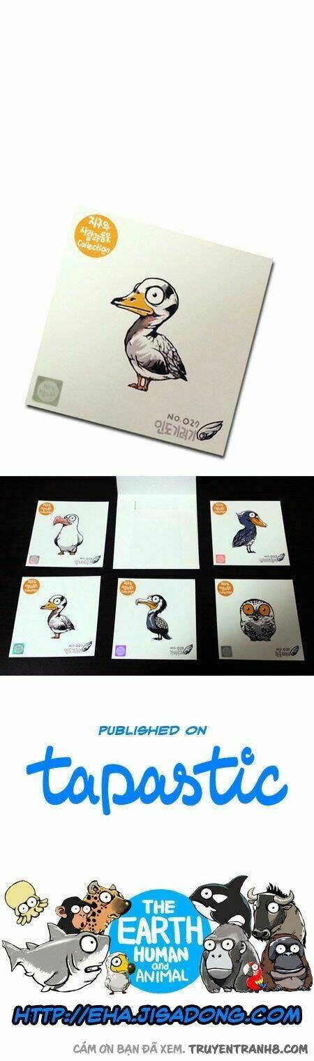 earth, human, and animal chapter 18 22